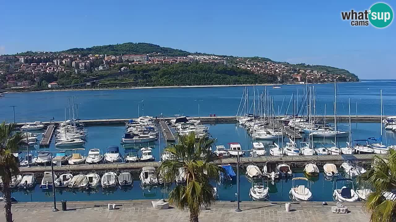 Der Hafen von Koper Live-Webcam – Kreuzfahrt- und Frachthafen – Slowenien