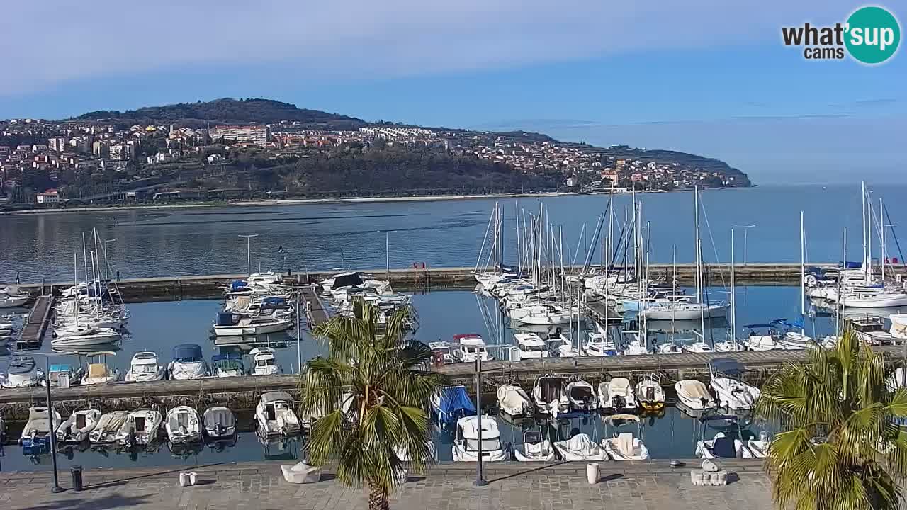 Webcam Koper – Panorama of the marina and promenade from the Grand Hotel Koper