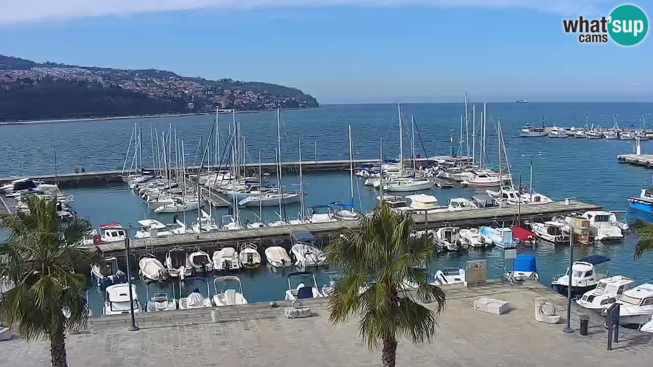 Spletna kamera Koper – Panorama na marino in promenado s Hotela Grand Koper