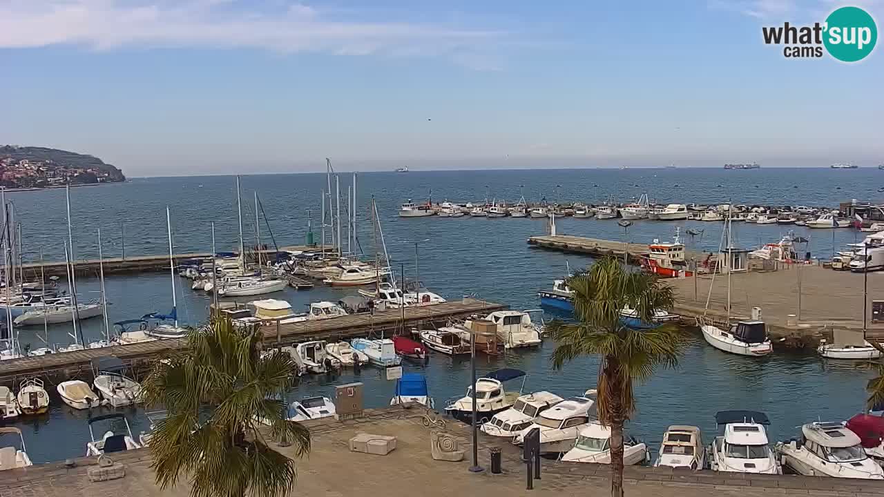 Camera en vivo Koper – puerto deportivo y paseo marítimo desde el Hotel Grand Koper