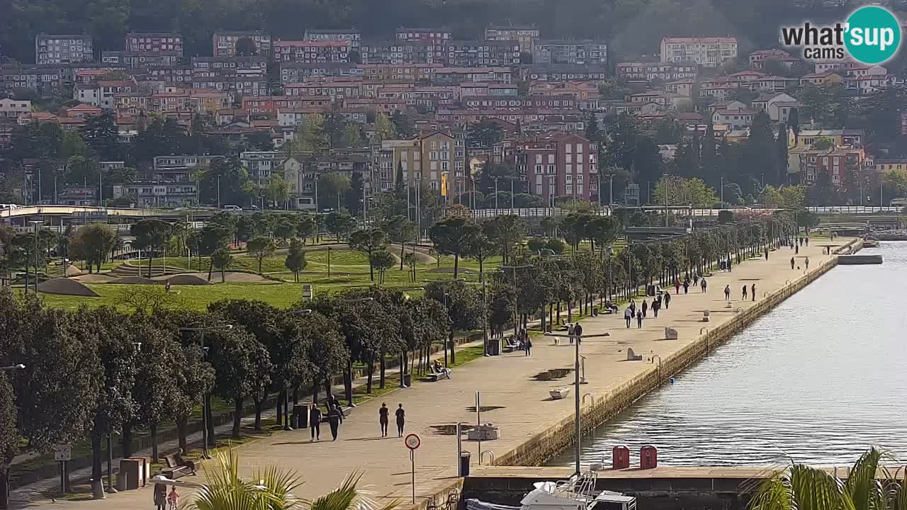 Spletna kamera Koper – Panorama na marino in promenado s Hotela Grand Koper