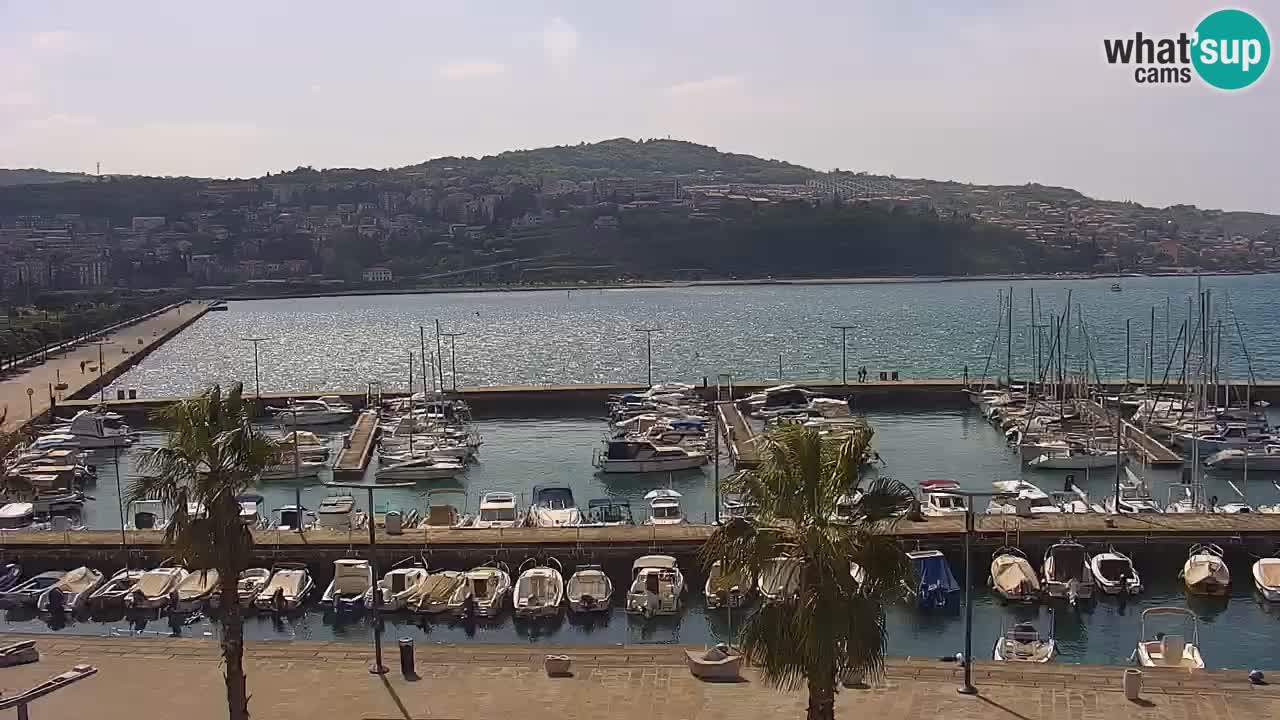 Luka Kopar uživo web kamera – Turistički terminal i teretna luka – Slovenija