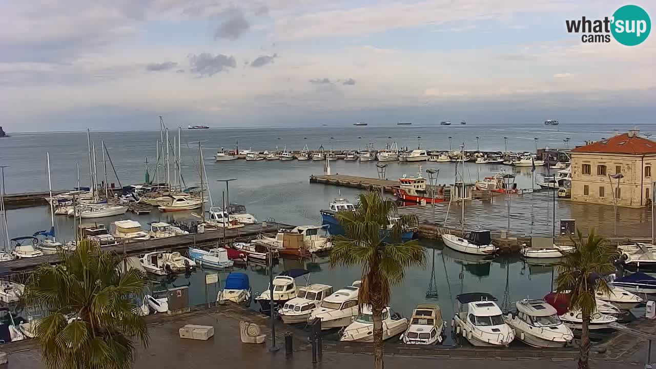 Webcam Koper – Panorama de la marina et de la promenade depuis le Grand Hotel Koper
