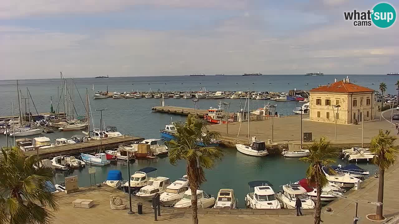 Spletna kamera Koper – Panorama na marino in promenado s Hotela Grand Koper