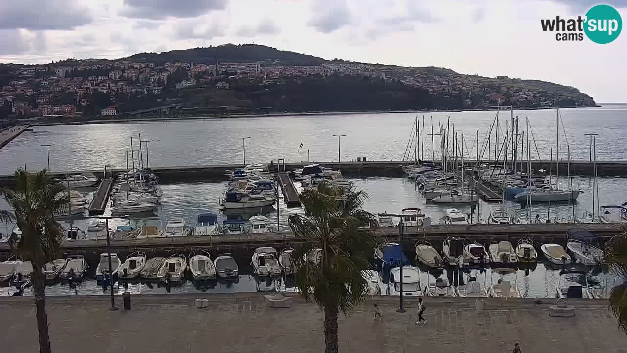 Spletna kamera Koper – Panorama na marino in promenado s Hotela Grand Koper
