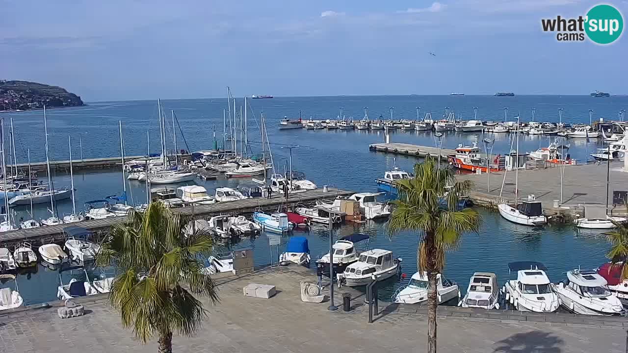 Webcam Koper – Panorama of the marina and promenade from the Grand Hotel Koper