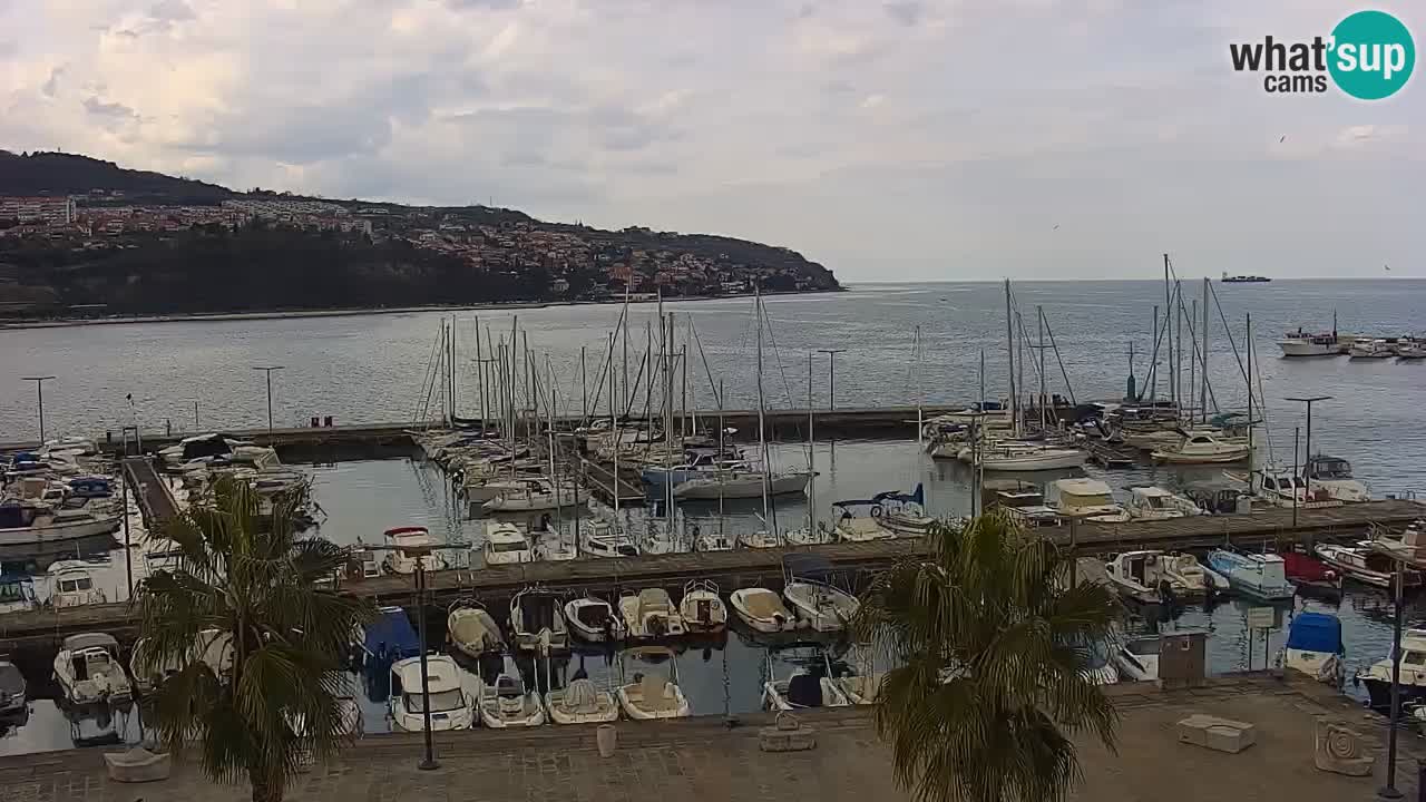 Webcam Capodistria – marina e lungo mare dall’Hotel Grand Koper