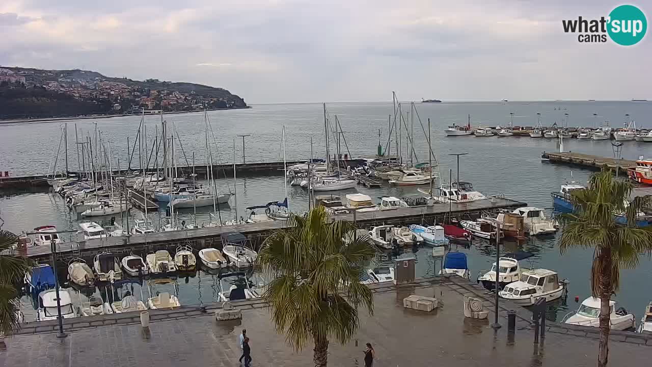 Webcam Koper – Panorama of the marina and promenade from the Grand Hotel Koper