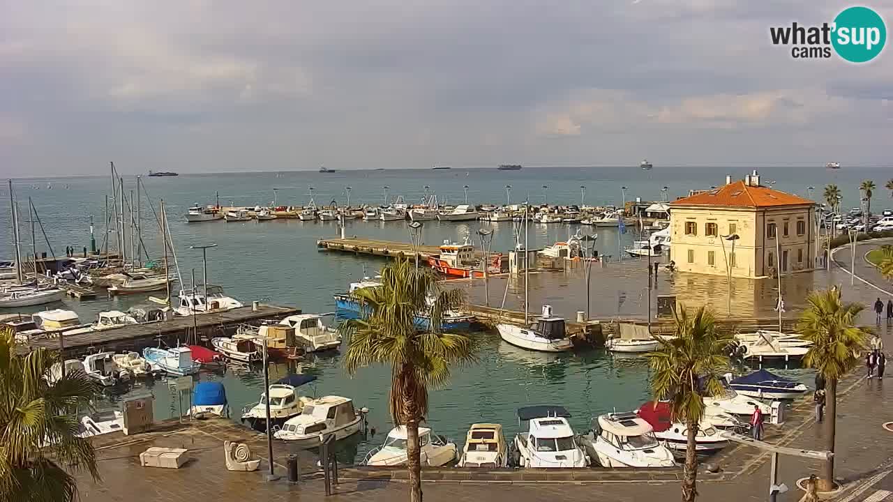 Web kamera Koper – marina i promenada – hotel Grand Koper