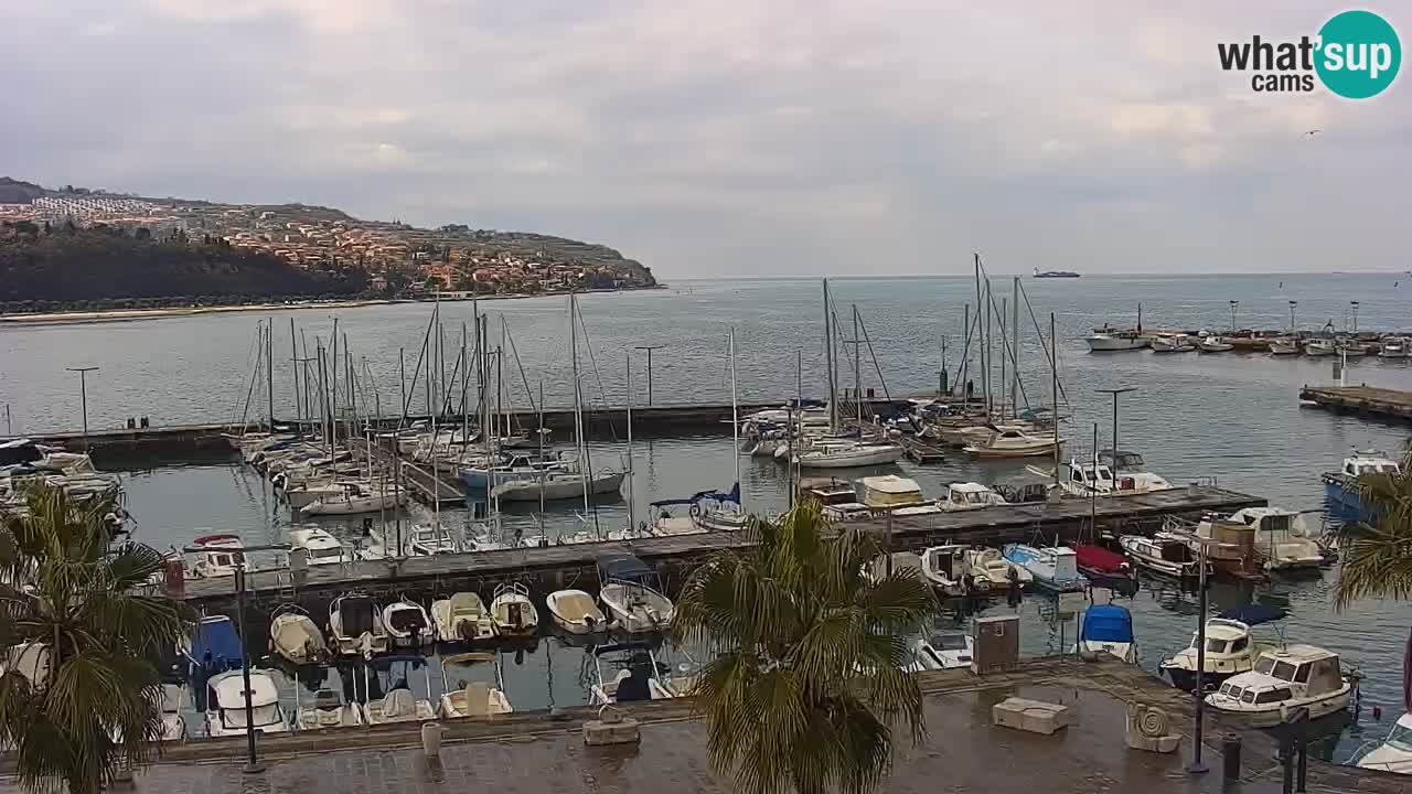 Luka Kopar uživo web kamera – Turistički terminal i teretna luka – Slovenija