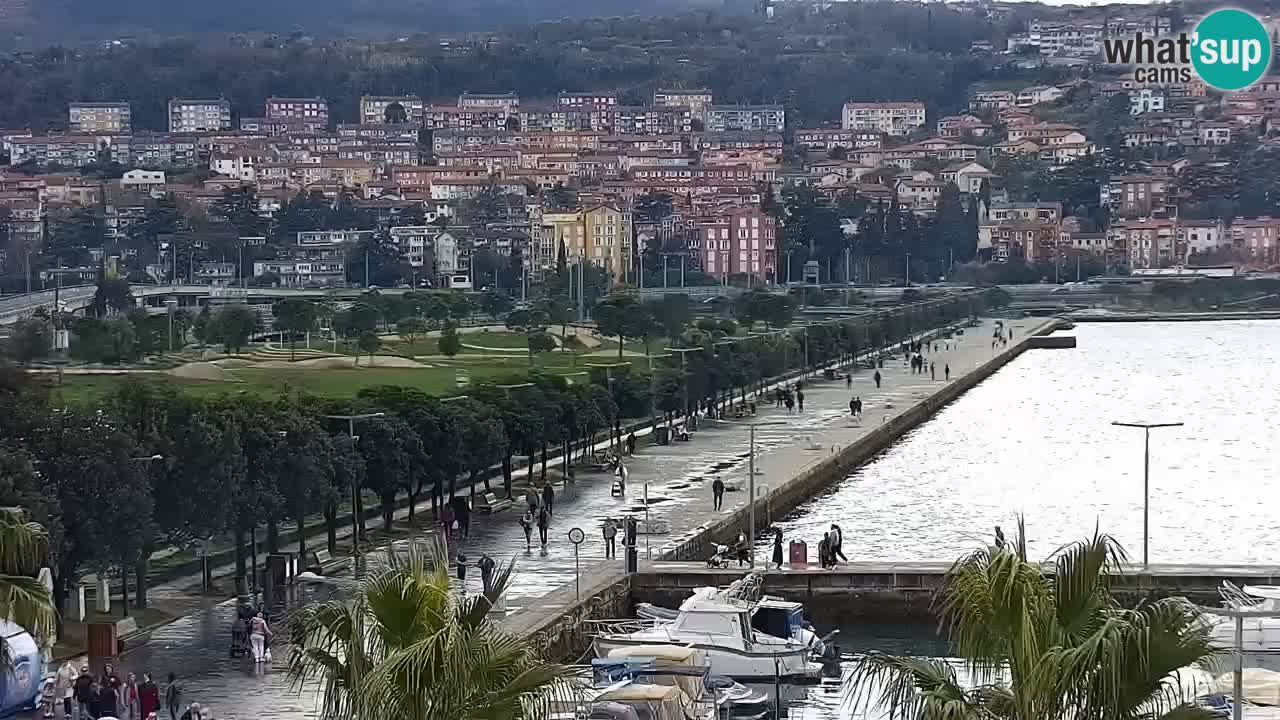 Webcam Koper – Panorama of the marina and promenade from the Grand Hotel Koper