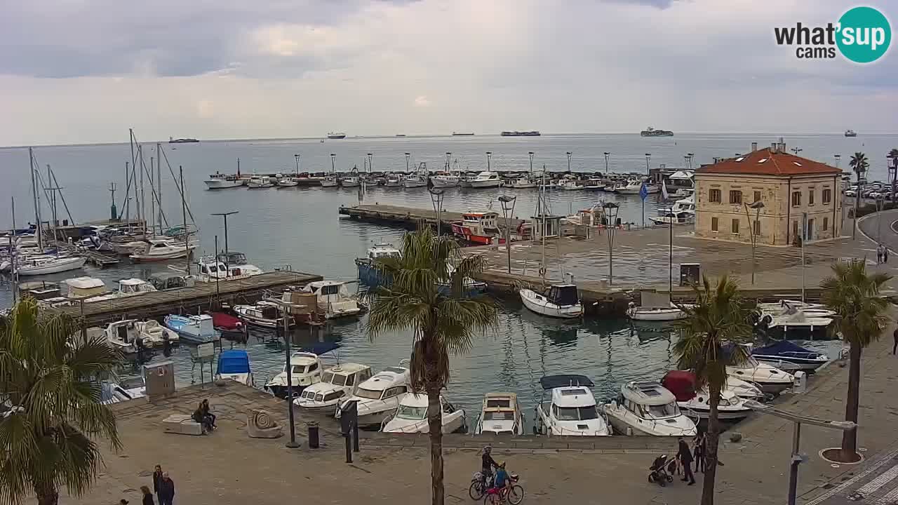 Webcam Koper – Panorama of the marina and promenade from the Grand Hotel Koper