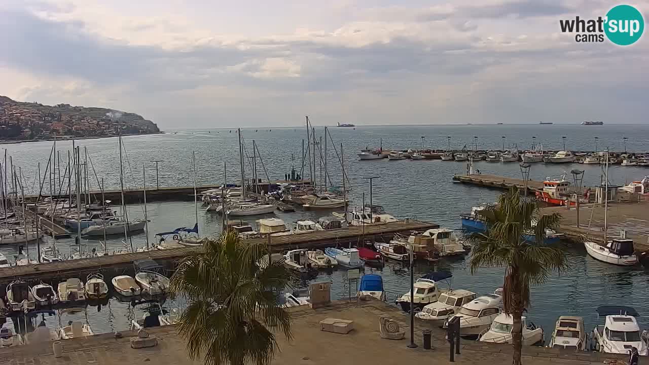 Webcam Koper – Panorama of the marina and promenade from the Grand Hotel Koper