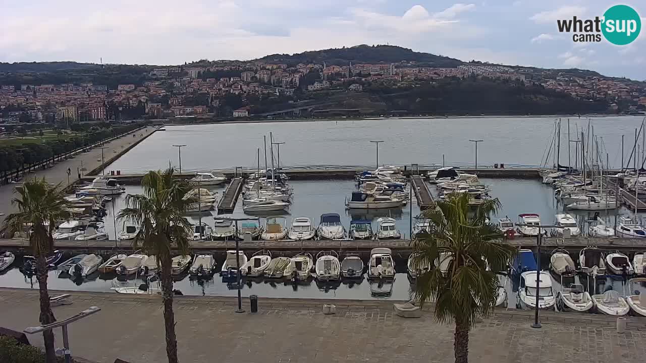Webcam Koper – Panorama de la marina et de la promenade depuis le Grand Hotel Koper