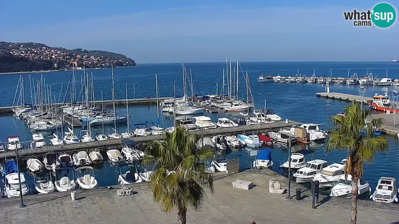 The Port of Koper live webcam – cruise and cargo port – Slovenia