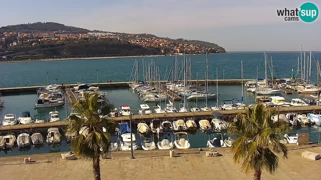 Webcam Koper – Panorama of the marina and promenade from the Grand Hotel Koper