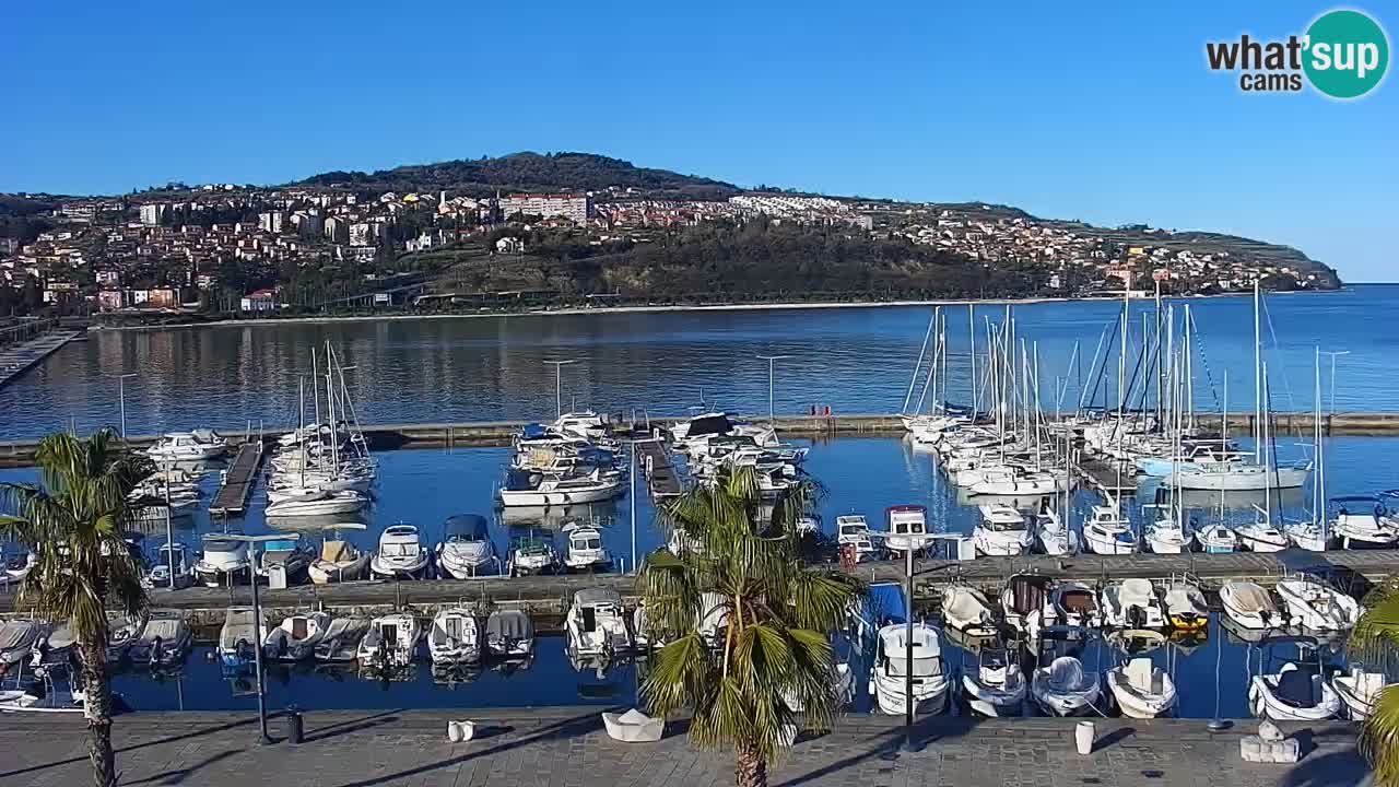 Webcam Koper – Panorama of the marina and promenade from the Grand Hotel Koper
