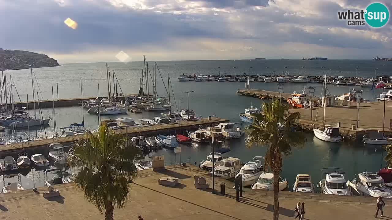 Spletna kamera Koper – Panorama na marino in promenado s Hotela Grand Koper