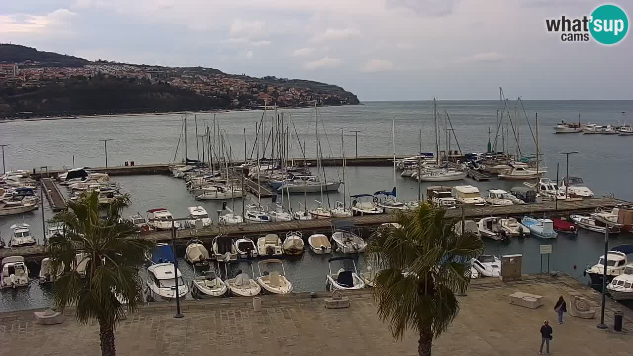 Web kamera Koper – marina i promenada – hotel Grand Koper