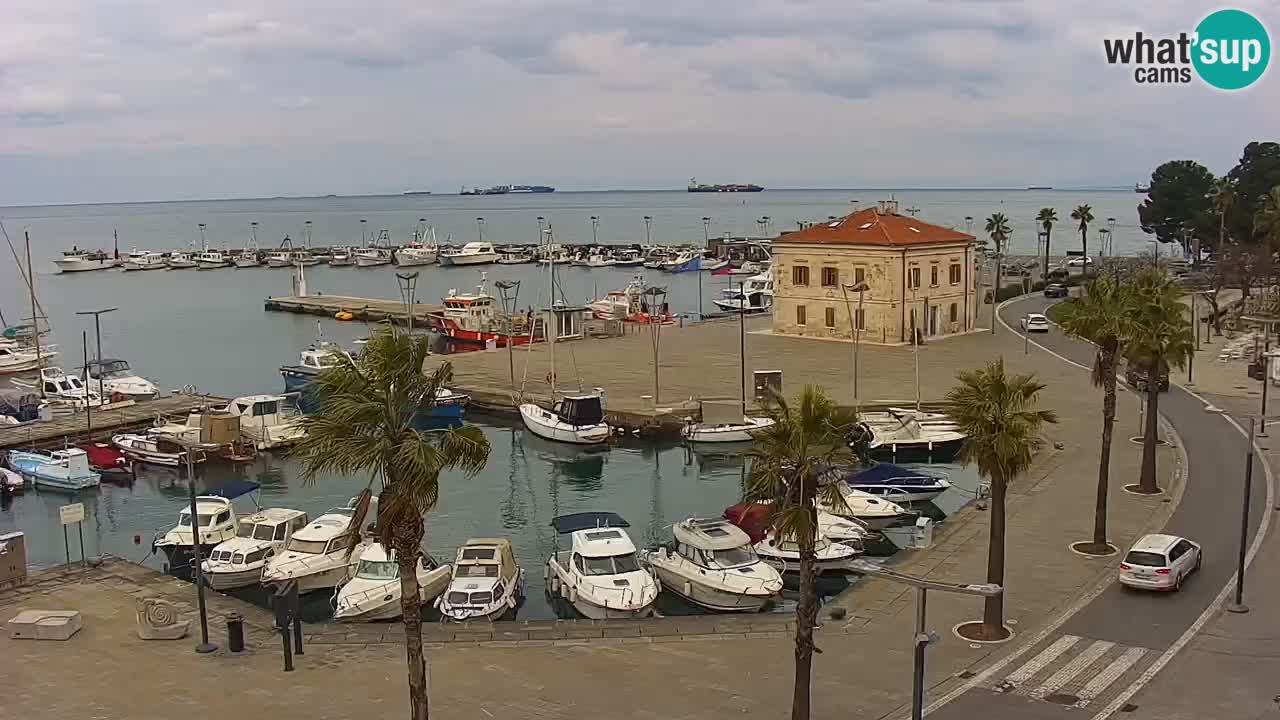 Web kamera Koper – marina i promenada – hotel Grand Koper