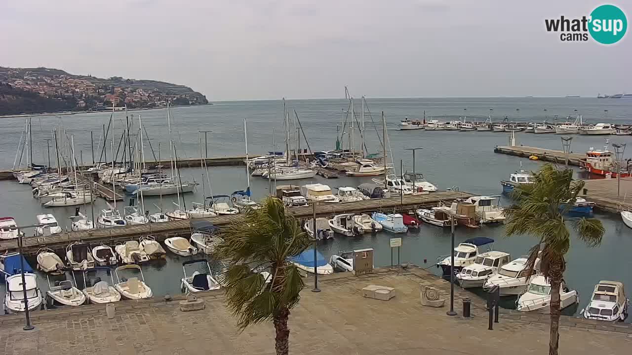 Web kamera Koper – marina i promenada – hotel Grand Koper