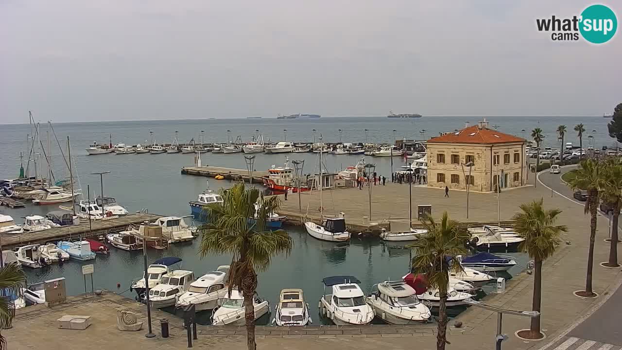 Web kamera Koper – marina i promenada – hotel Grand Koper