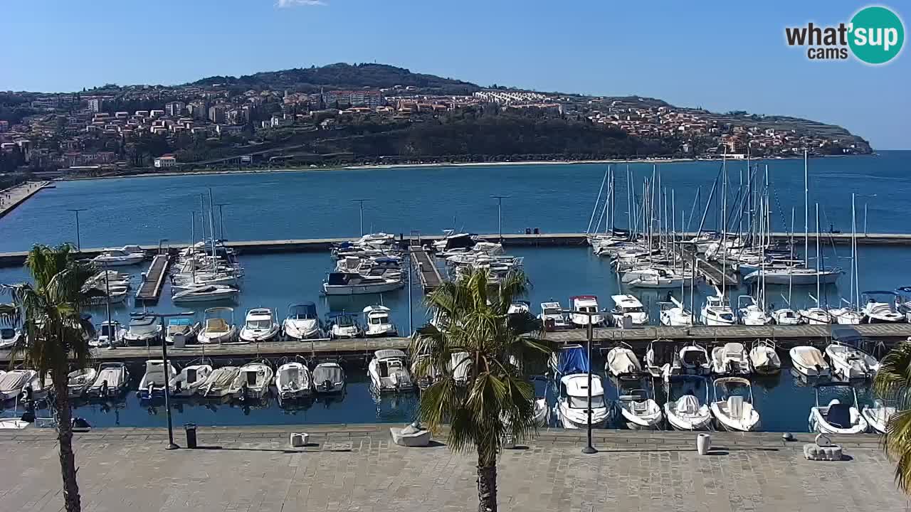 Webcam Koper – Panorama of the marina and promenade from the Grand Hotel Koper