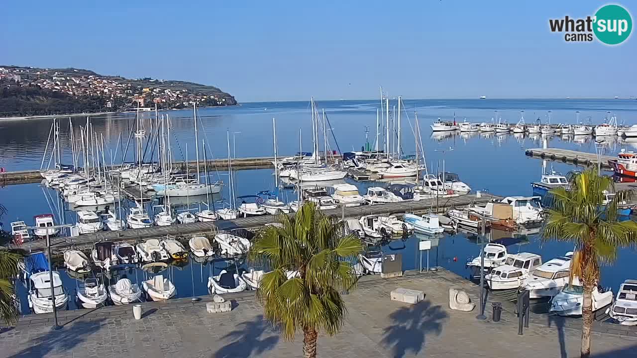 Web kamera Koper – marina i promenada – hotel Grand Koper