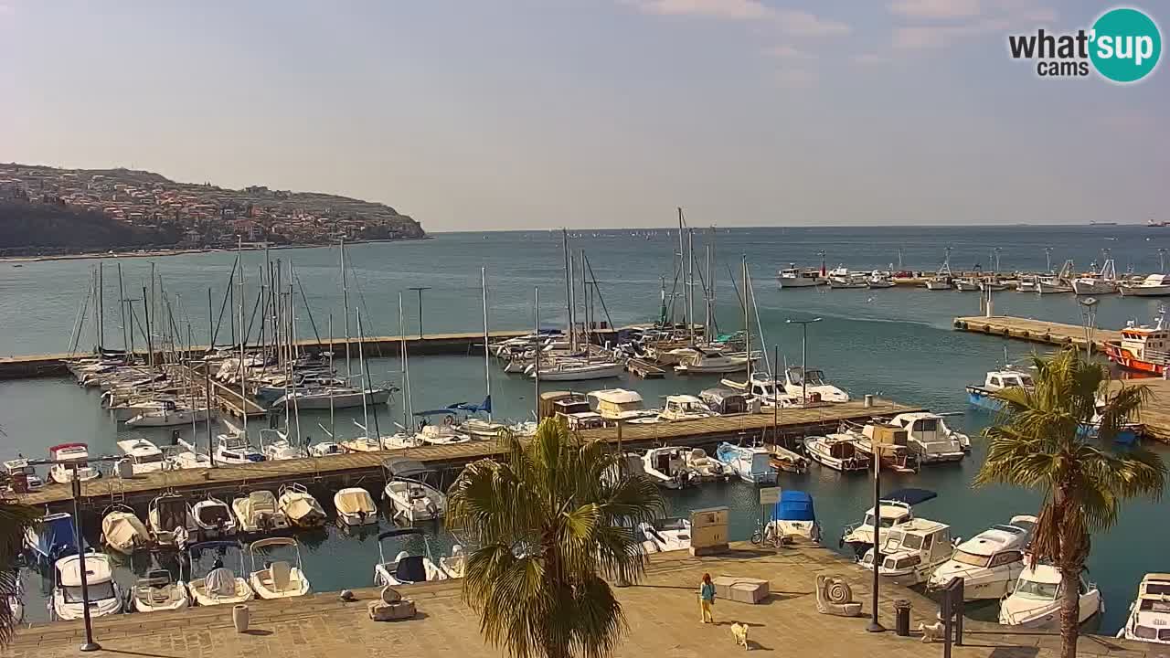 Webcam Capodistria – marina e lungo mare dall’Hotel Grand Koper