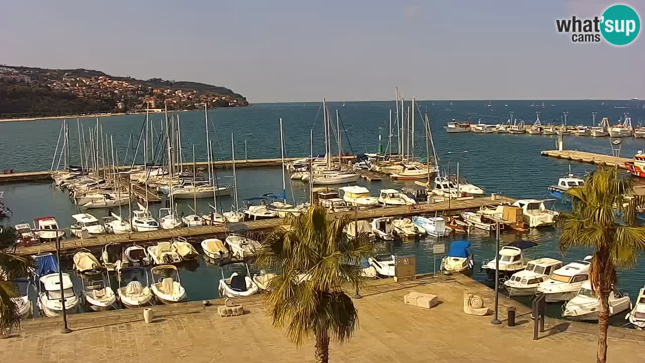 Webcam Koper – Panorama des Jachthafens und der Promenade vom Hotel Grand Koper