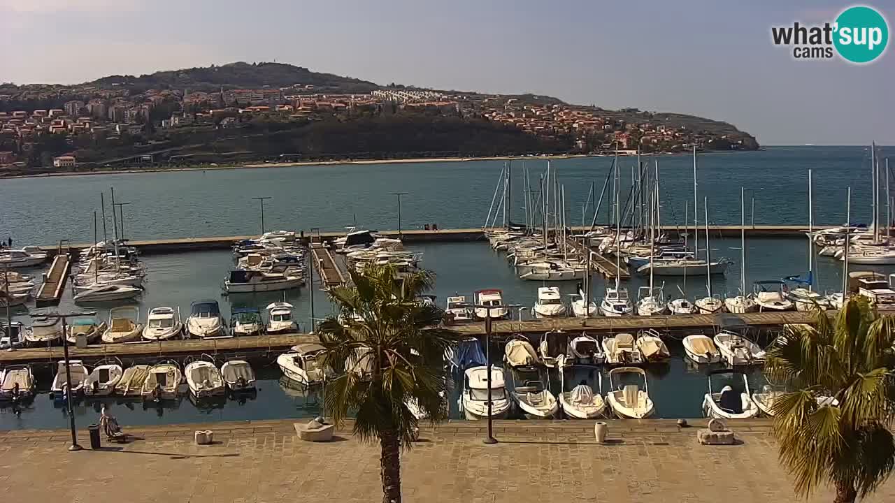 Luka Kopar uživo web kamera – Turistički terminal i teretna luka – Slovenija