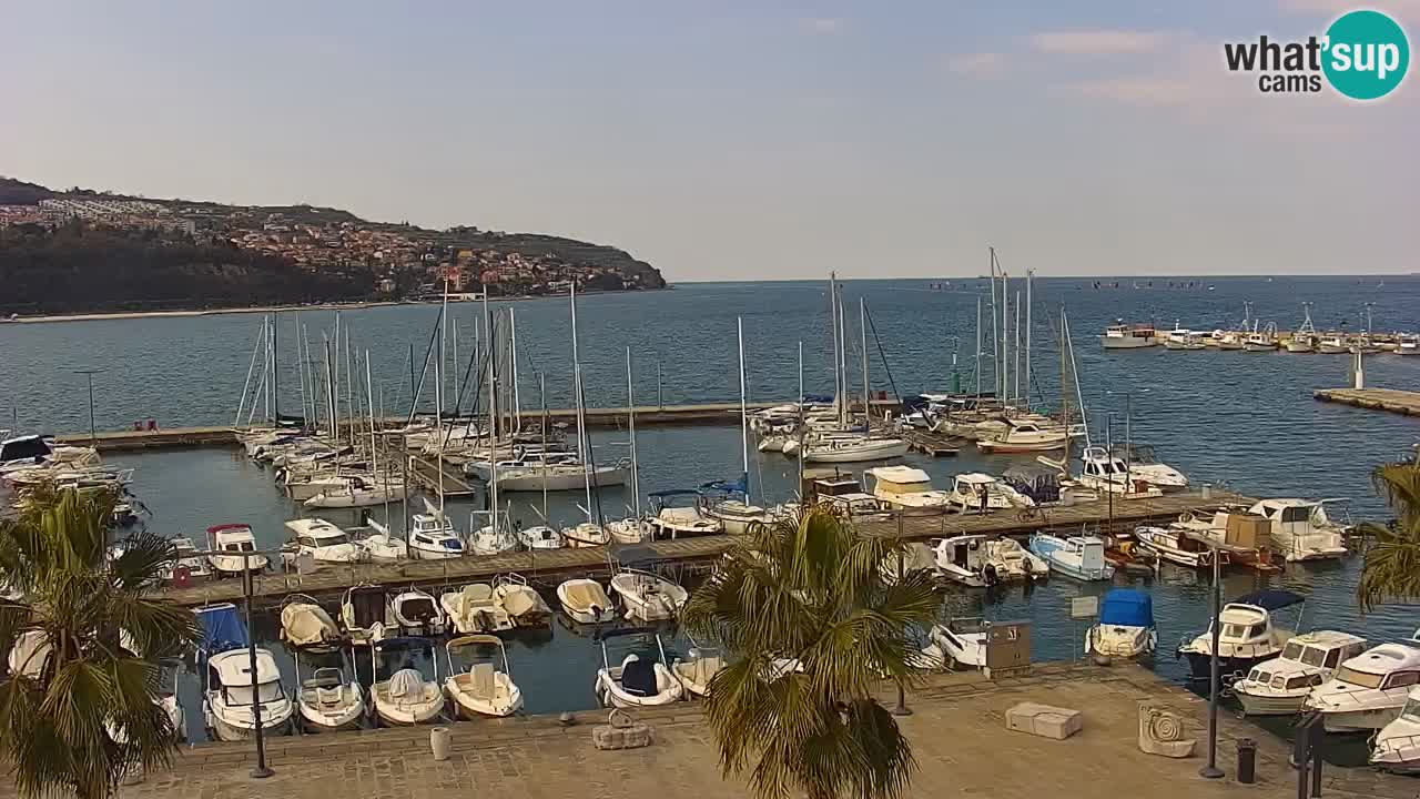 Der Hafen von Koper Live-Webcam – Kreuzfahrt- und Frachthafen – Slowenien
