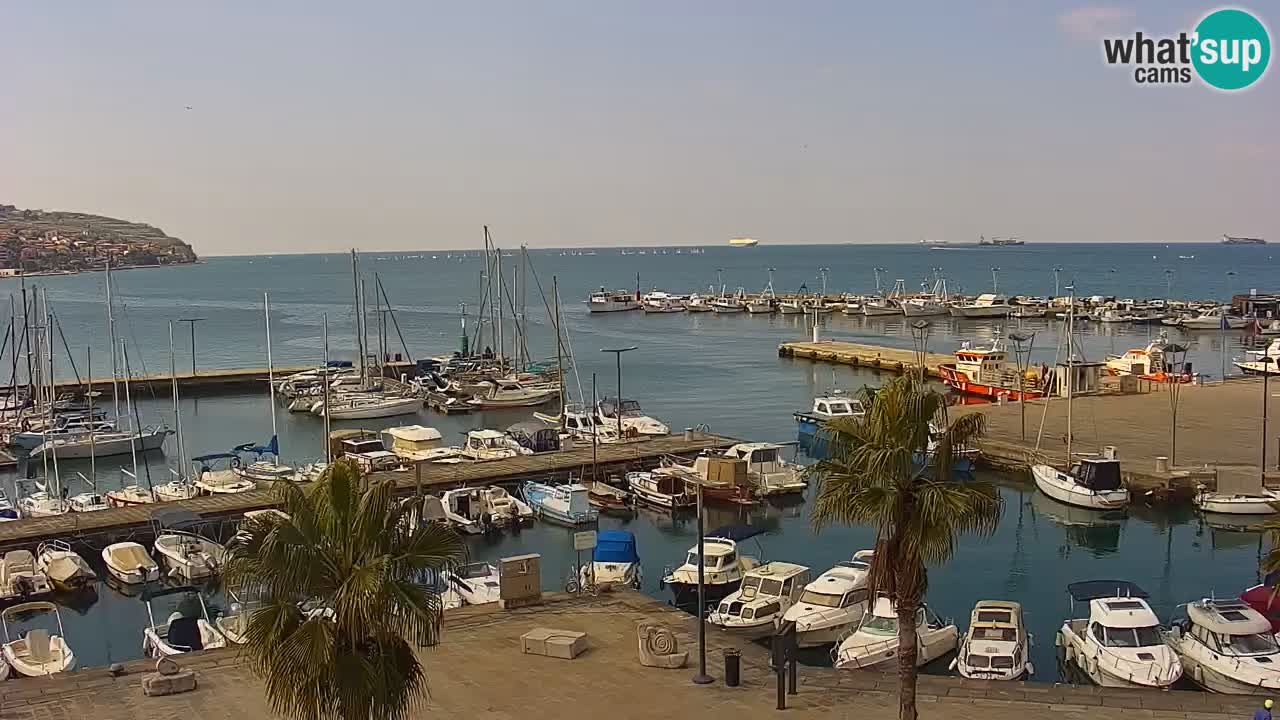 Camera en vivo Koper – puerto deportivo y paseo marítimo desde el Hotel Grand Koper