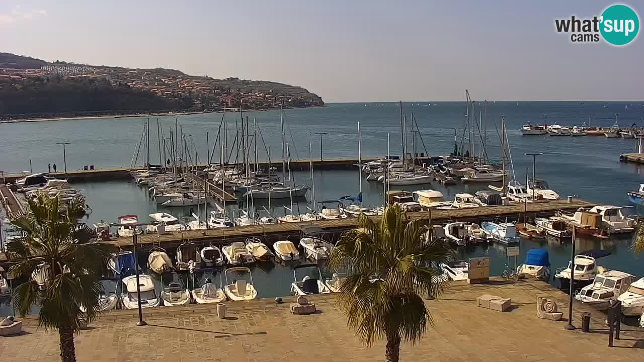 Camera en vivo Koper – puerto deportivo y paseo marítimo desde el Hotel Grand Koper