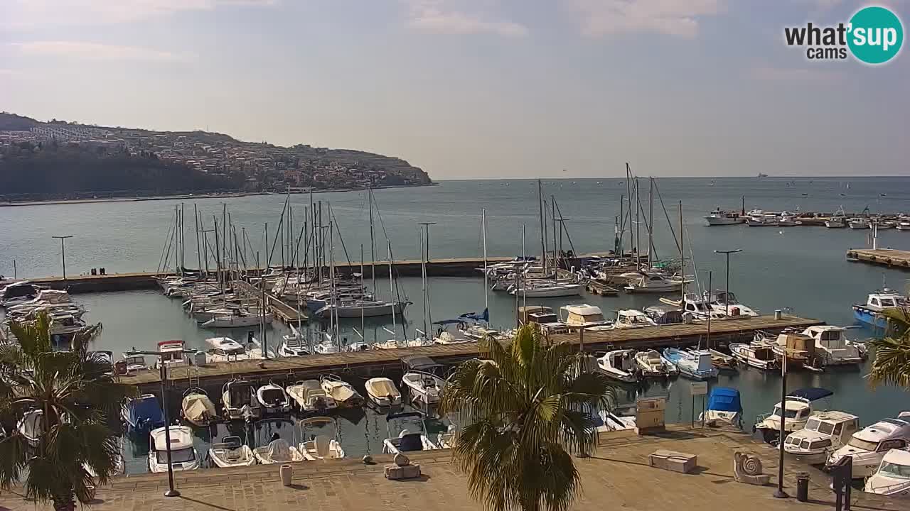 Camera en vivo Koper – puerto deportivo y paseo marítimo desde el Hotel Grand Koper
