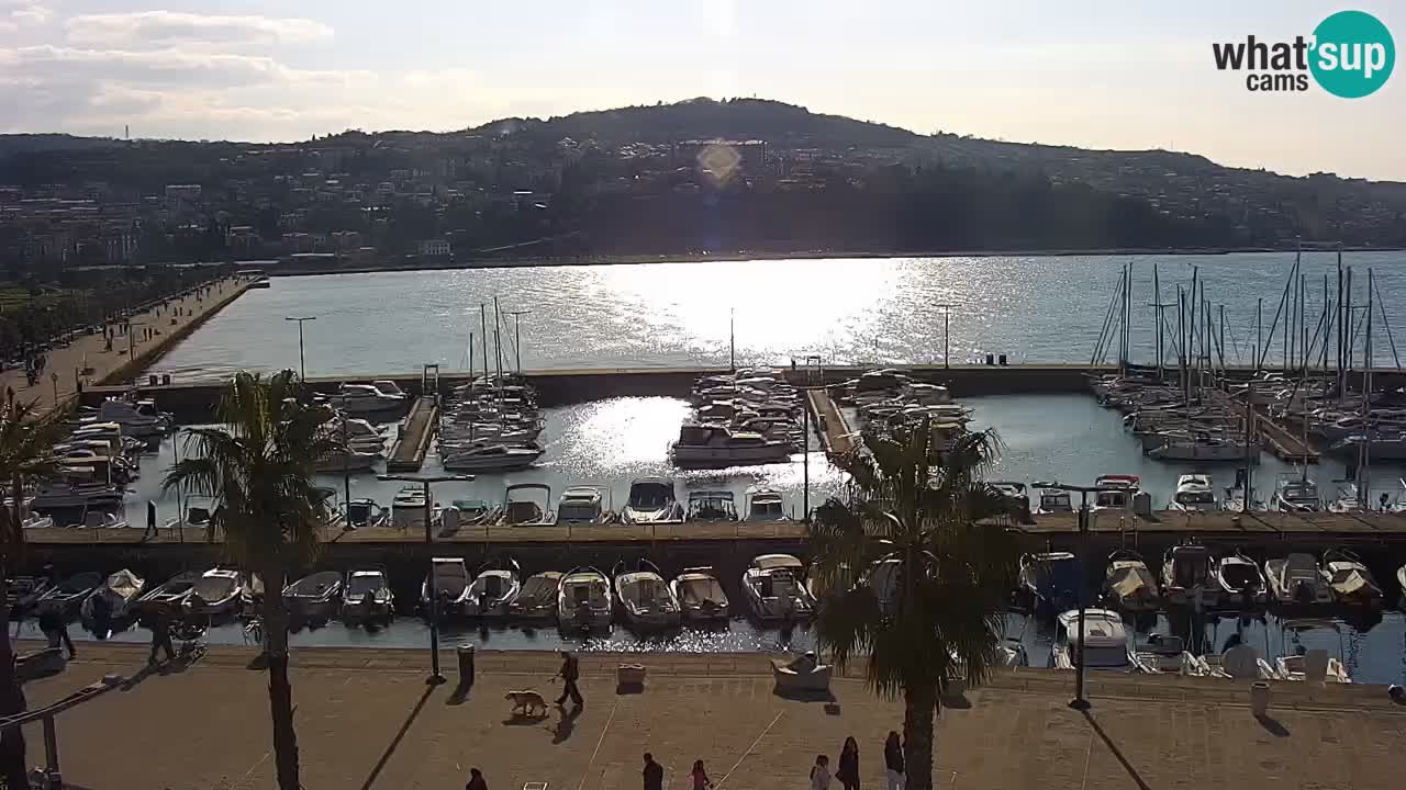 Camera en vivo Koper – puerto deportivo y paseo marítimo desde el Hotel Grand Koper