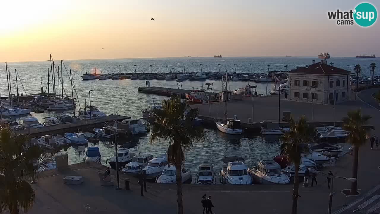 Camera en vivo Koper – puerto deportivo y paseo marítimo desde el Hotel Grand Koper