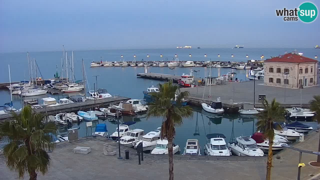Web kamera Koper – marina i promenada – hotel Grand Koper