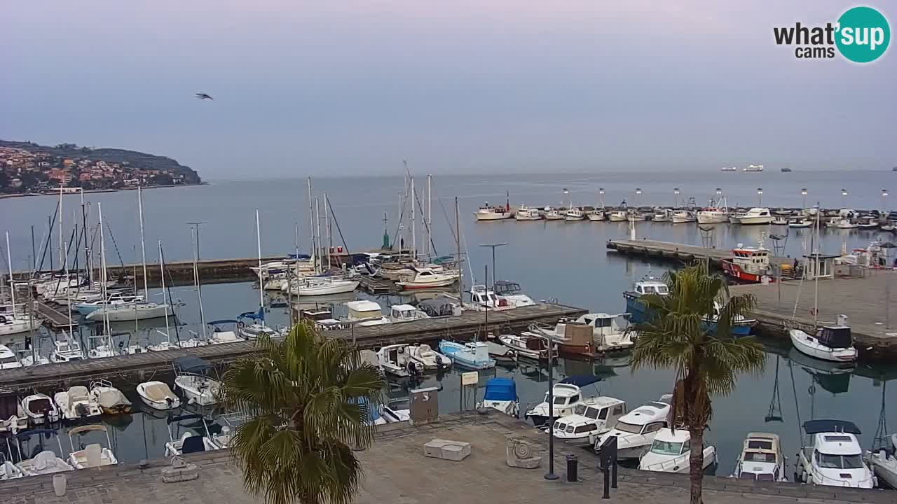 Camera en vivo Koper – puerto deportivo y paseo marítimo desde el Hotel Grand Koper