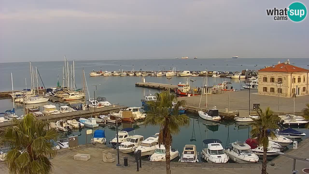 Web kamera Koper – marina i promenada – hotel Grand Koper