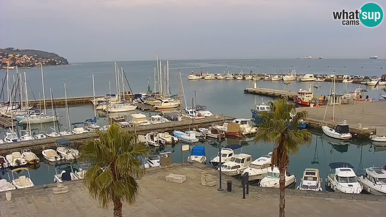 Web kamera Koper – marina i promenada – hotel Grand Koper
