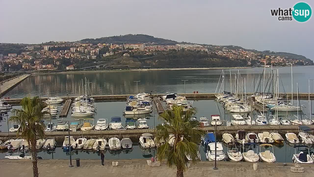 Web kamera Koper – marina i promenada – hotel Grand Koper