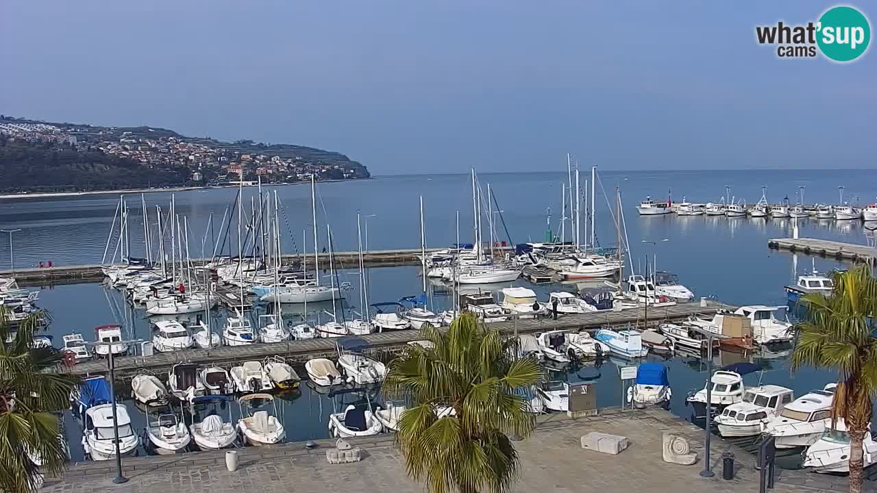 Webcam Capodistria – marina e lungo mare dall’Hotel Grand Koper