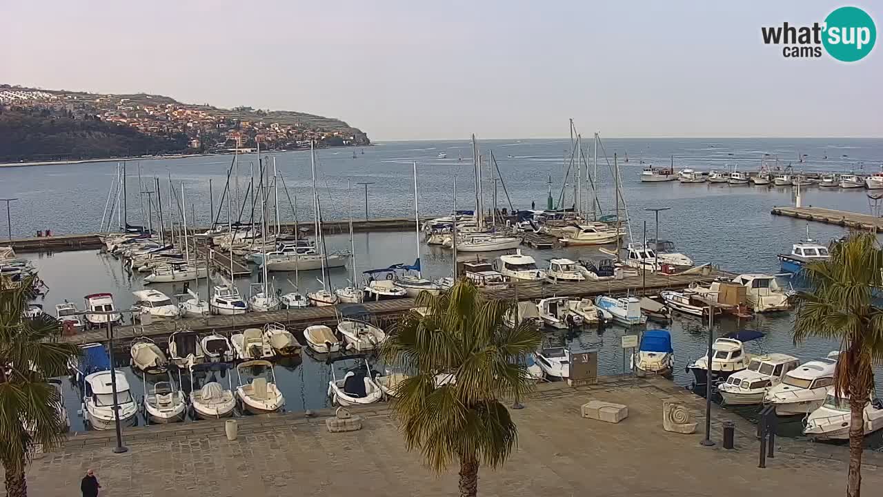 Webcam Capodistria – marina e lungo mare dall’Hotel Grand Koper