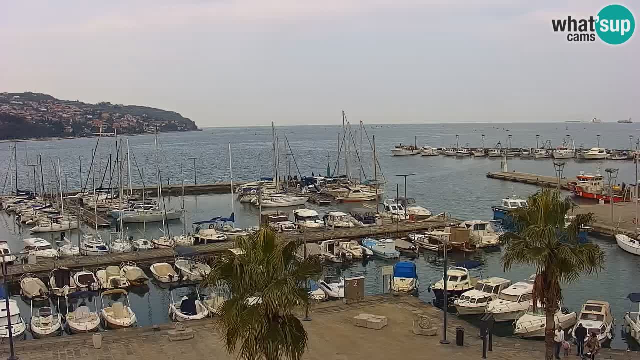 Webcam Koper – Panorama of the marina and promenade from the Grand Hotel Koper