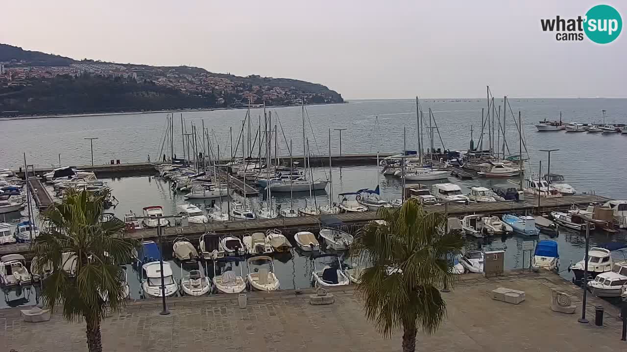 Webcam Koper – Panorama of the marina and promenade from the Grand Hotel Koper