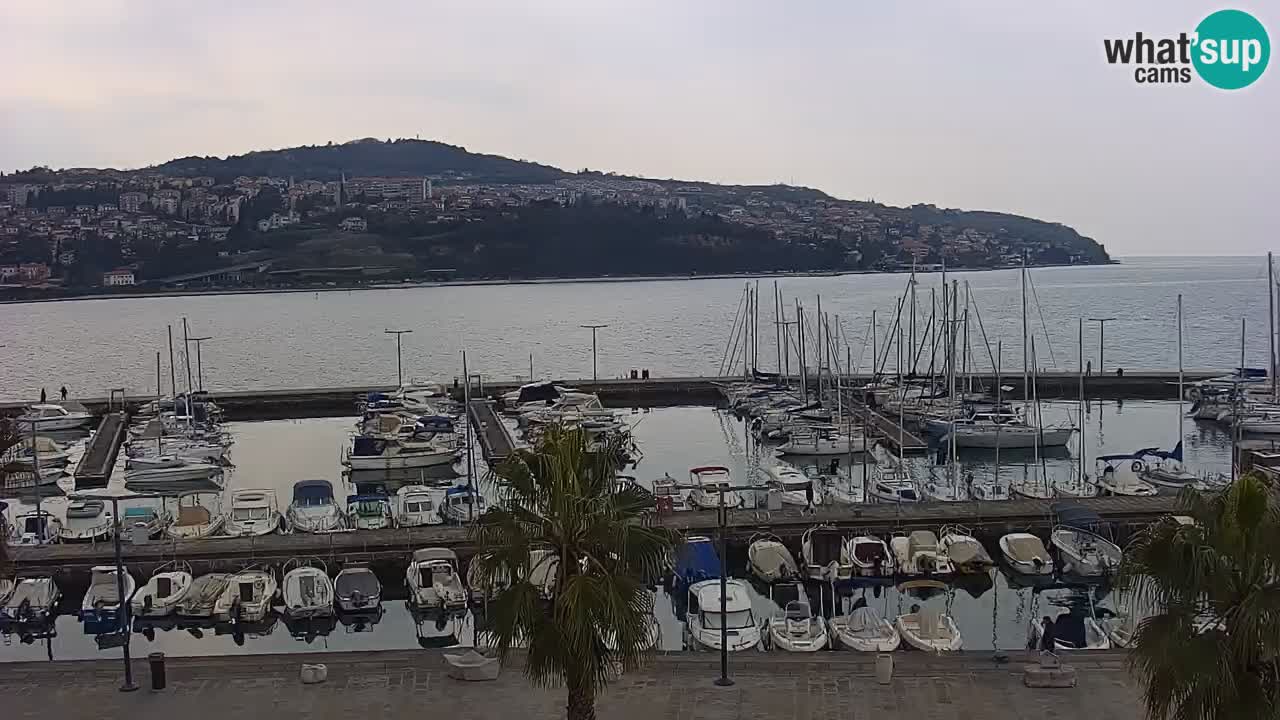 Web kamera Koper – marina i promenada – hotel Grand Koper