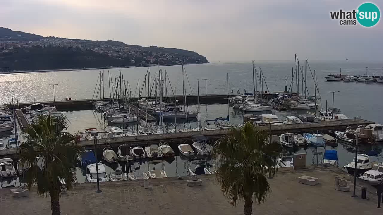 Camera en vivo Koper – puerto deportivo y paseo marítimo desde el Hotel Grand Koper