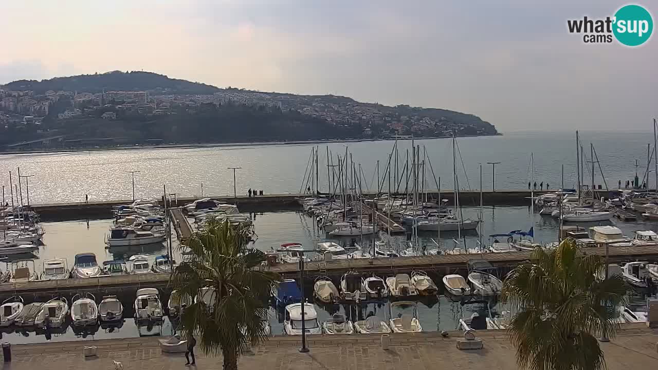 Spletna kamera Koper – Panorama na marino in promenado s Hotela Grand Koper