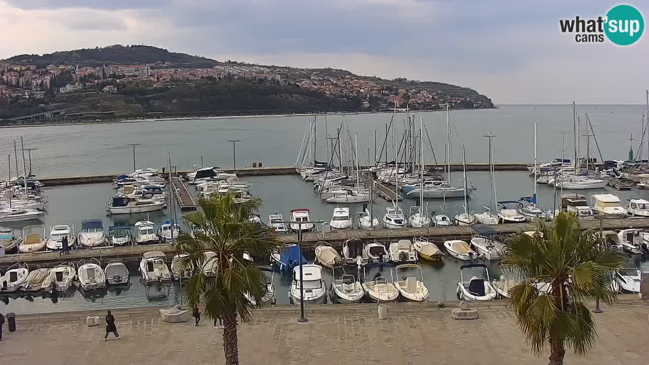 Webcam Koper – Panorama of the marina and promenade from the Grand Hotel Koper